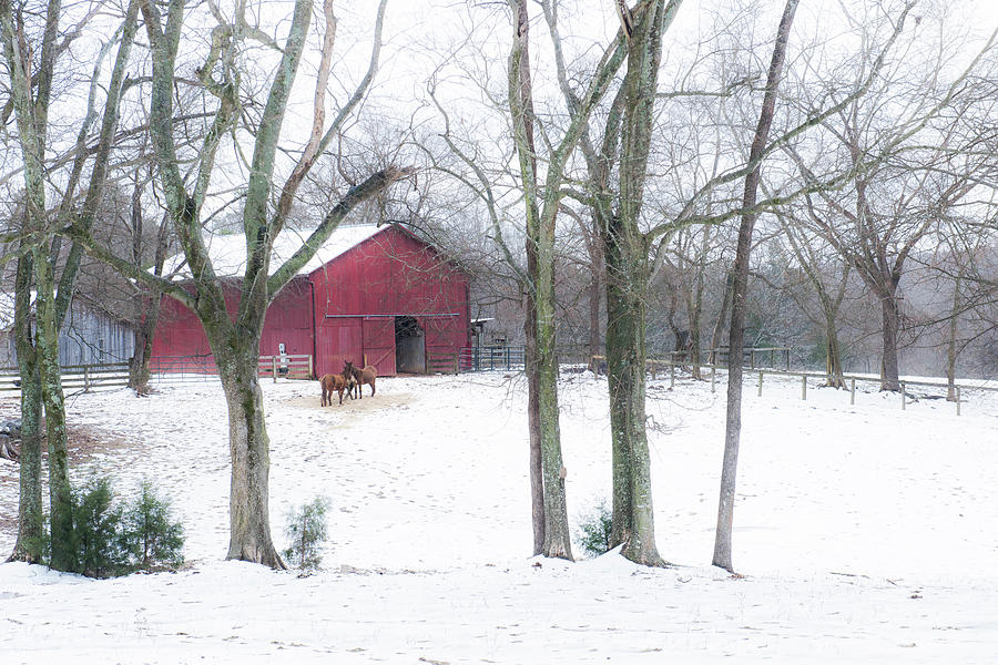 Red Barn at Cedarock Photograph by Cynthia Wolfe