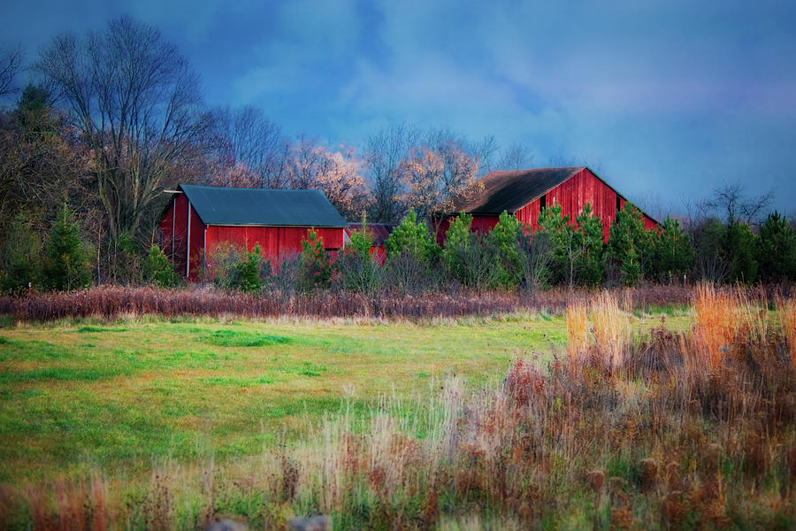 Red Barn at Retzer Nature Center Photograph by Jennifer Rondinelli Reilly - Fine Art Photography