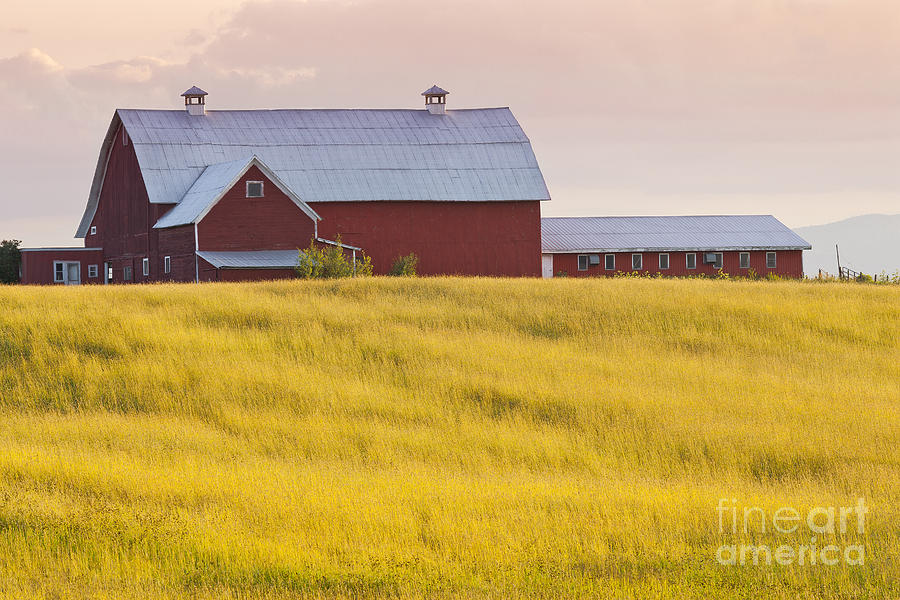 Summer Photograph - Red Barn At Sunset by Alan L Graham