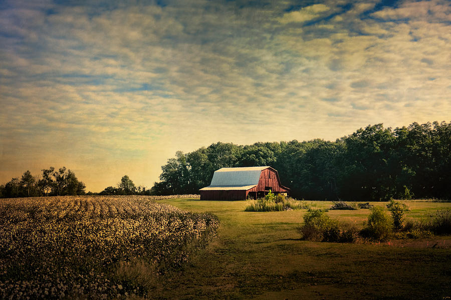 Architecture Photograph - Red Barn At The Cottonfield by Jai Johnson