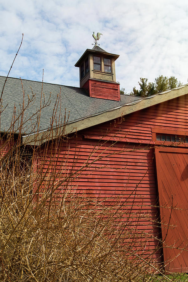Red Barn Blue Sky Photograph by Natalie Rotman Cote