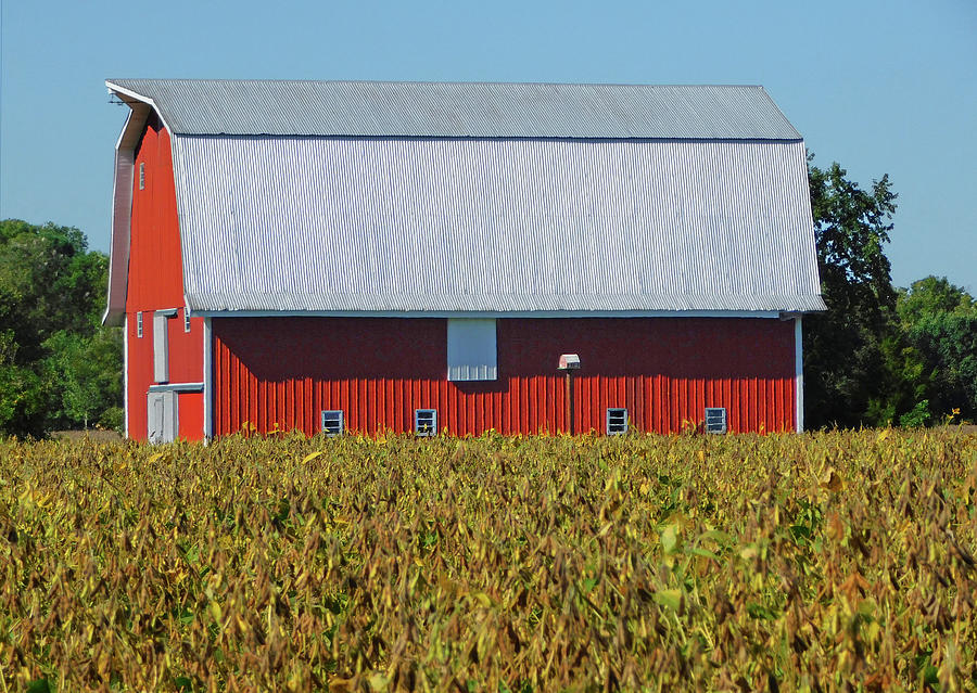 Red Barn Charm - Cambridge MD Photograph by Emmy Vickers