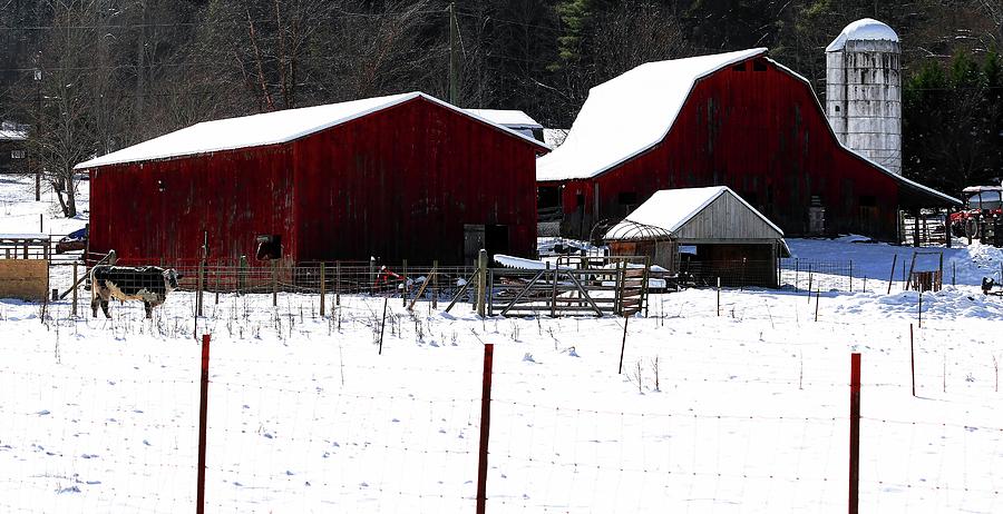 Red Barn Farm Photograph by Carol Montoya