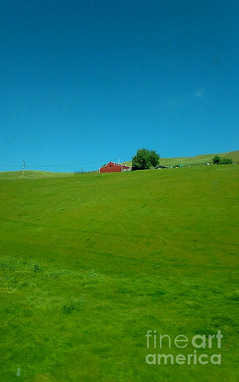 Red Barn, Green Grass And Blue Sky In California Photograph by Michael Hoard