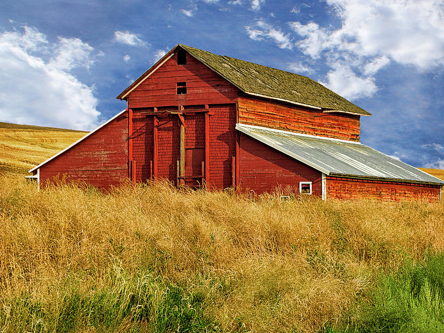 Red Barn in a Field Photograph by C VandenBerg