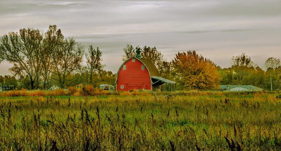 Red Barn In A Green Place Photograph