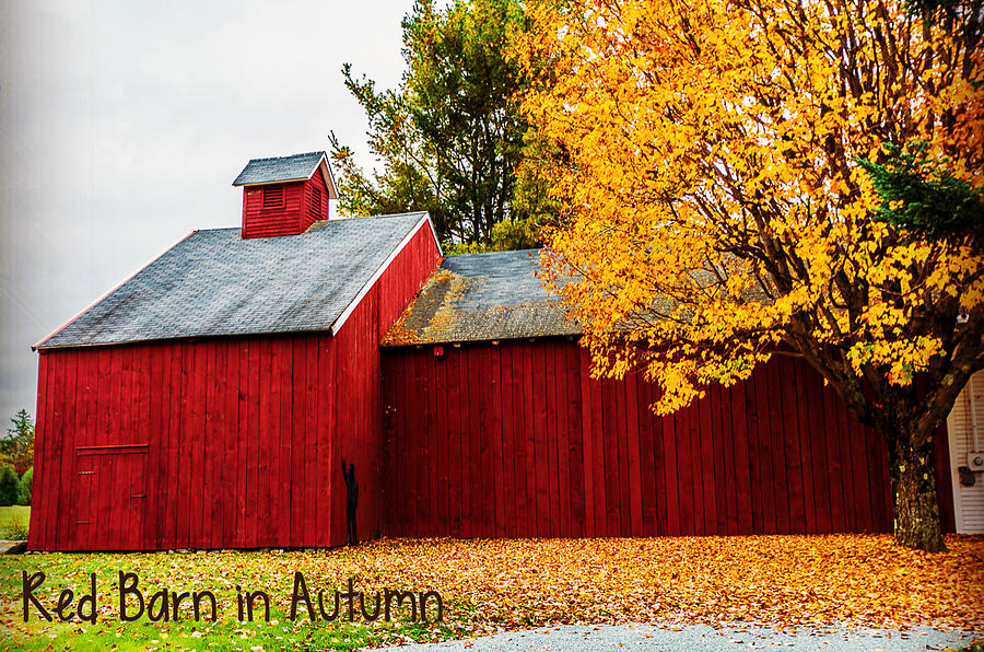 Fall Photograph - Red Barn In Autumn by Black Brook Photography