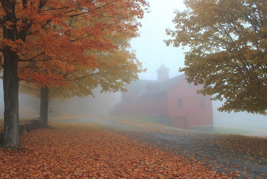 Red Barn in Autumn Fog Photograph by John Burk