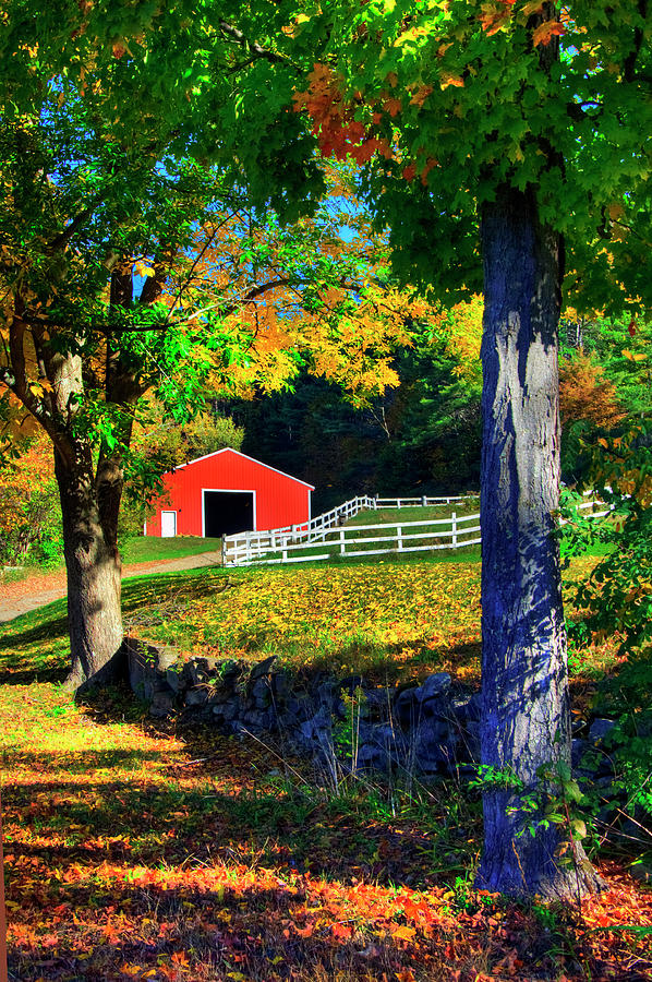 Red Barn in Autumn - Keane, NH Photograph by Joann Vitali