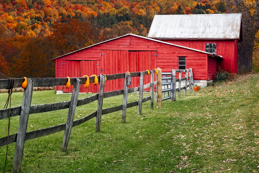 Red Barn In Autumn - Photograph by Susan Candelario - Fine Art America