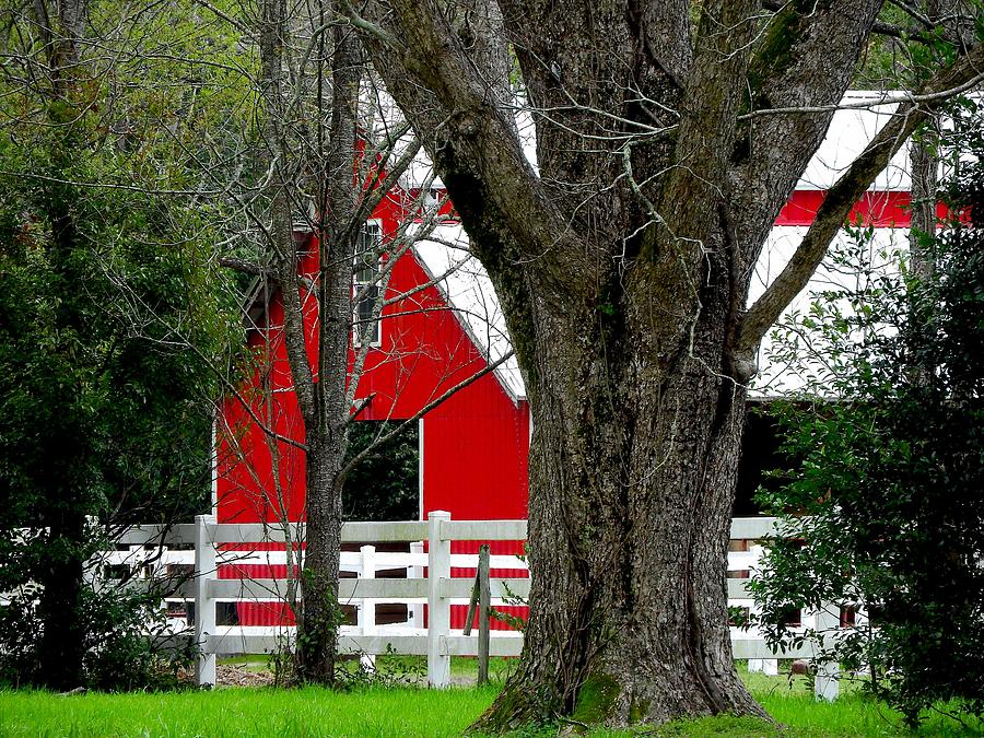 Barn Photograph - Red Barn in Back by Laura Ragland