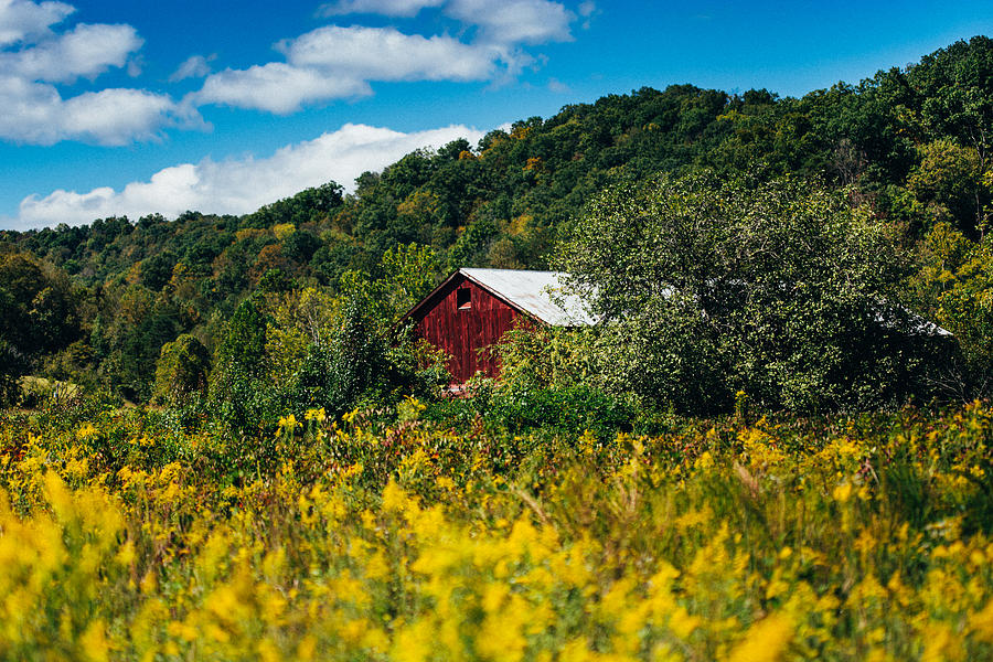 Red Barn In Early Autumn Photograph by Shane Holsclaw