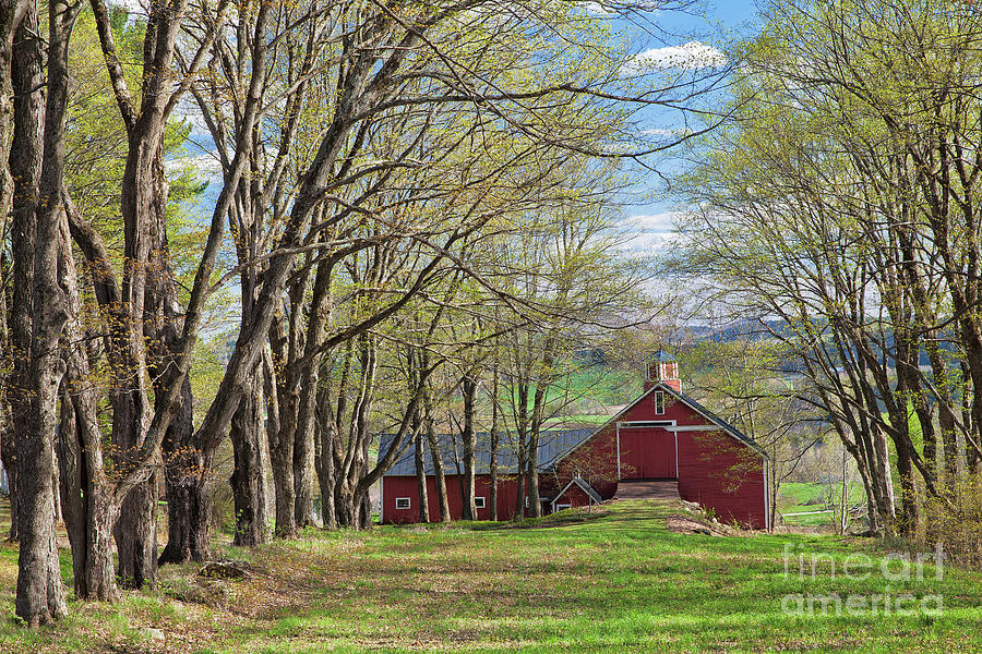 Red Barn In Early Spring Photograph