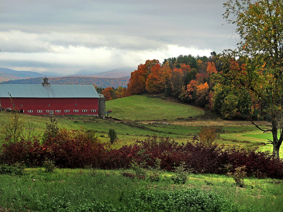 Red Barn in Newbury Vermont Photograph by Nancy Griswold