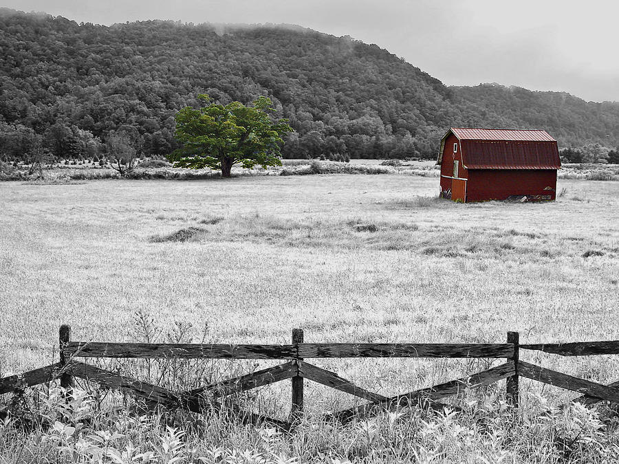Red Barn In Pasture Photograph by Michael Whitaker