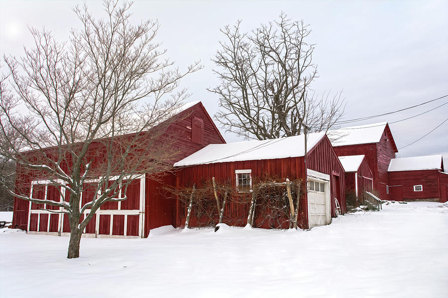 Red Barn In Snow Photograph by Angelo Marcialis