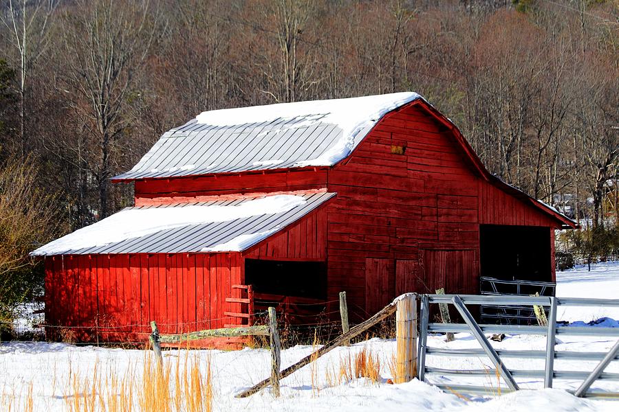 Red Barn In Snow Photograph by Carol Montoya