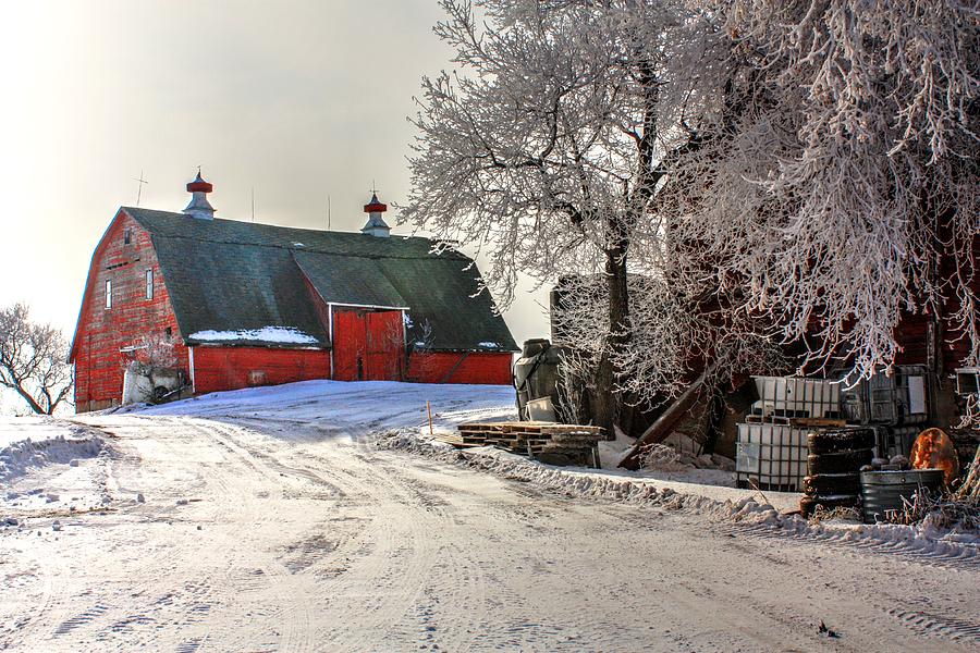 Red Barn in snow  Photograph by David Matthews