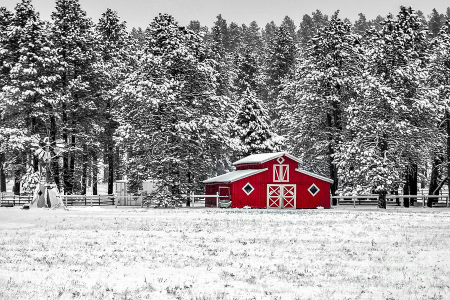 Red Barn in Snow Pyrography by David Meznarich