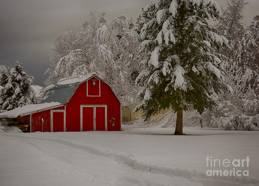 Winter Photograph - Red Barn in Snow by Idaho Scenic Images Linda Lantzy