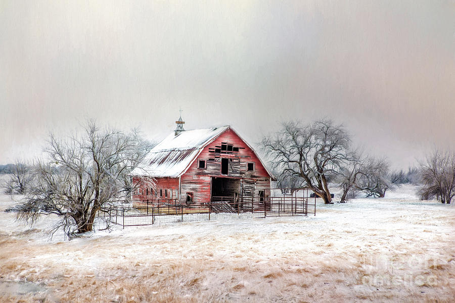 Red Barn In Snow Photograph by Jan Galland