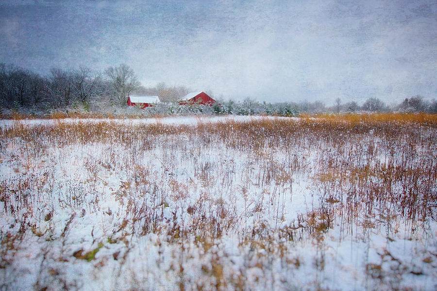 Red Barn in Snow - Winter at Retzer Nature Center  Photograph by Jennifer Rondinelli Reilly - Fine Art Photography