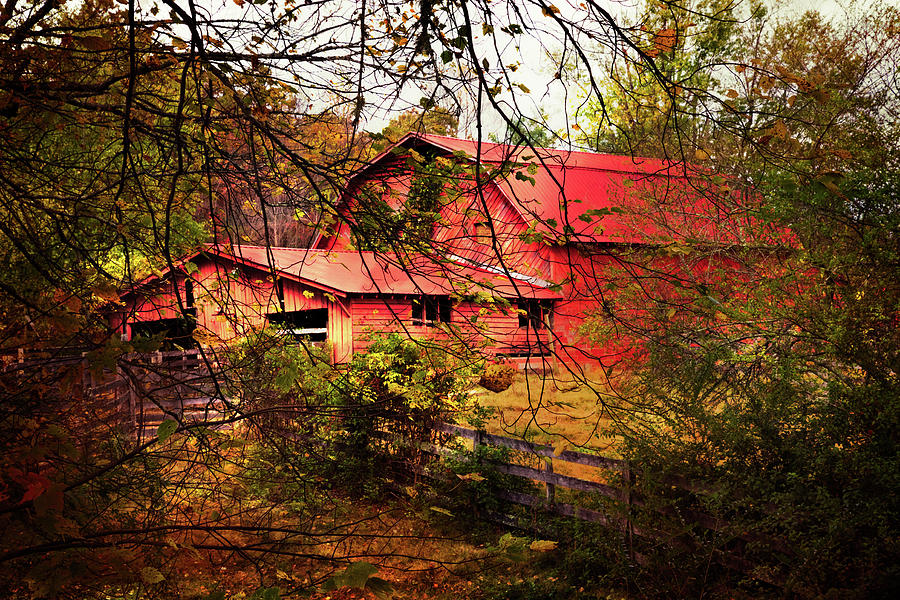 Red Barn in the Countryside Photograph by Debra and Dave Vanderlaan