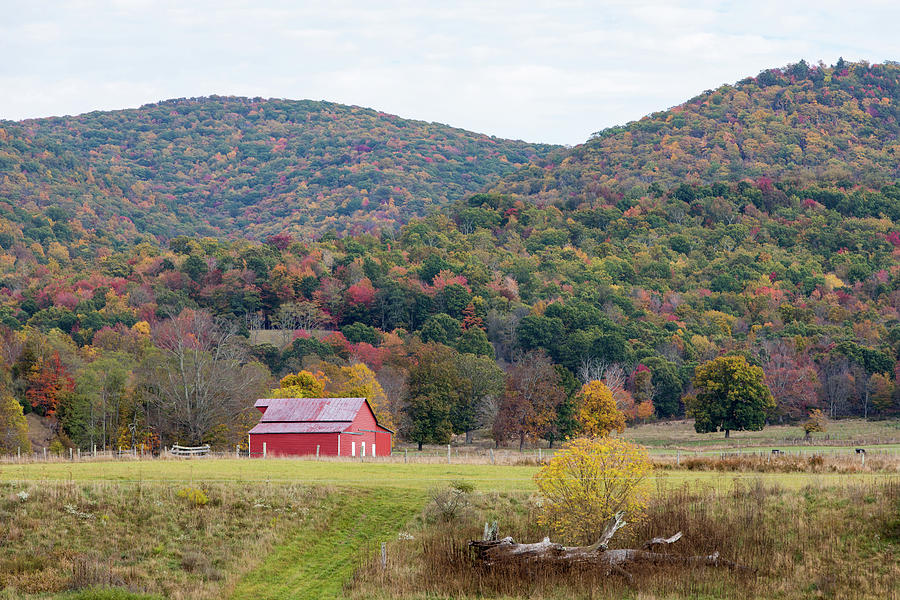 Red Barn in the Fall Photograph by M C Hood