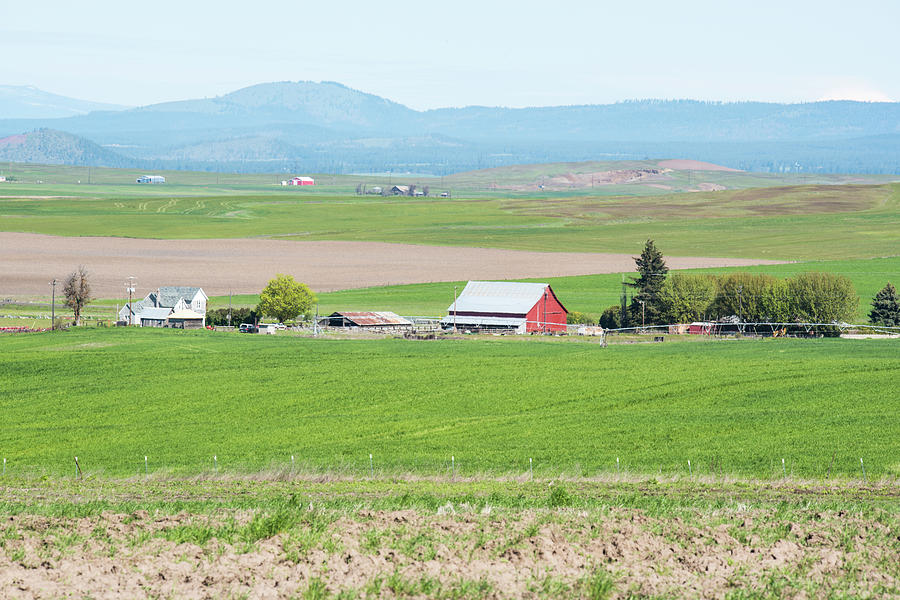 Red Barn in the Klickitat Photograph by Tom Cochran