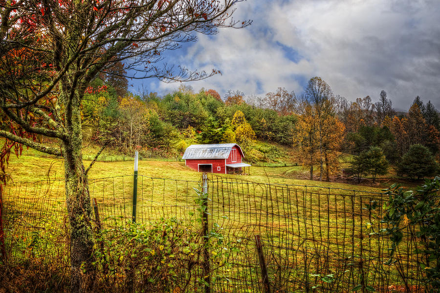 Animal Photograph - Red Barn in the Pasture by Debra and Dave Vanderlaan