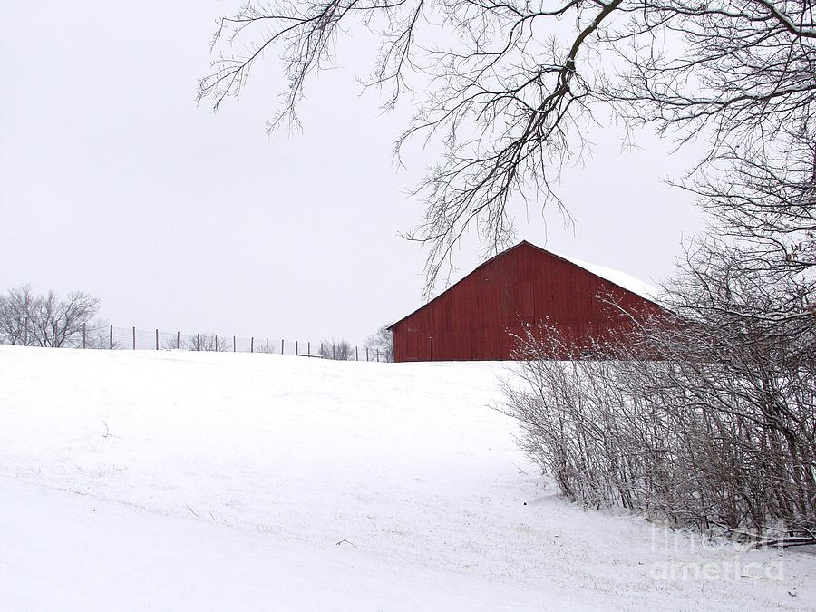 Winter Photograph - Red Barn in the Snow by Carol Sweetwood