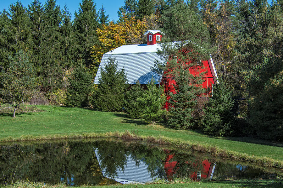 Barn Photograph - Red Barn In The Trees by Guy Whiteley