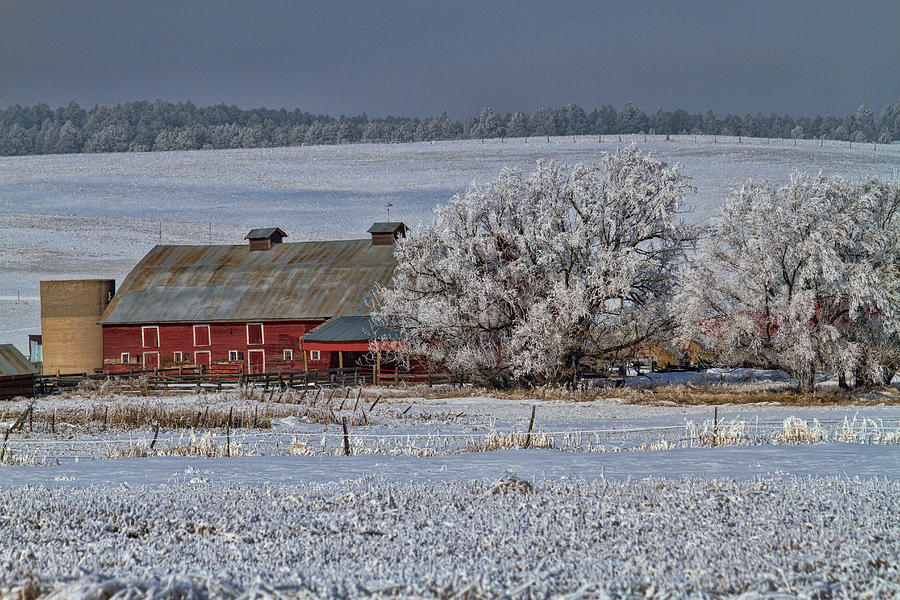 Red Barn in Winter Photograph by Alana Thrower