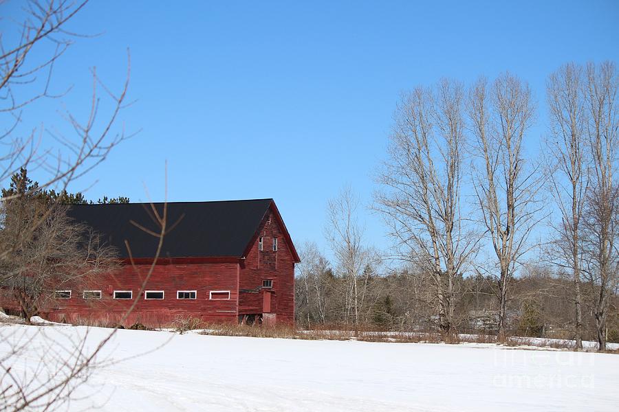 Red Barn in Winter in Maine Photograph by Colleen Snow - Fine Art America