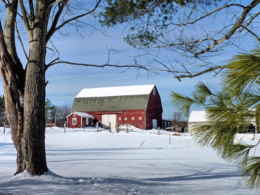 Red Barn In Winter Photograph By Janice Drew - Fine Art America