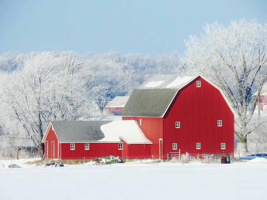 Red Barn In Winter Photograph by Lori Frisch