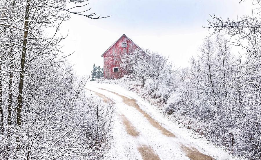 Red Barn in Winter Photograph by Patti Raine