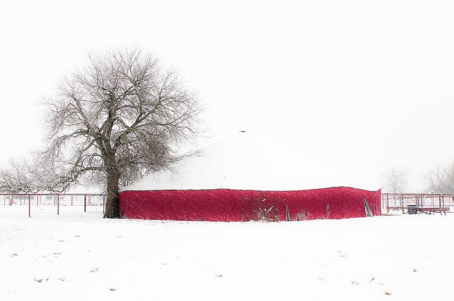 Red Barn in Winter Photograph by Tamyra Ayles