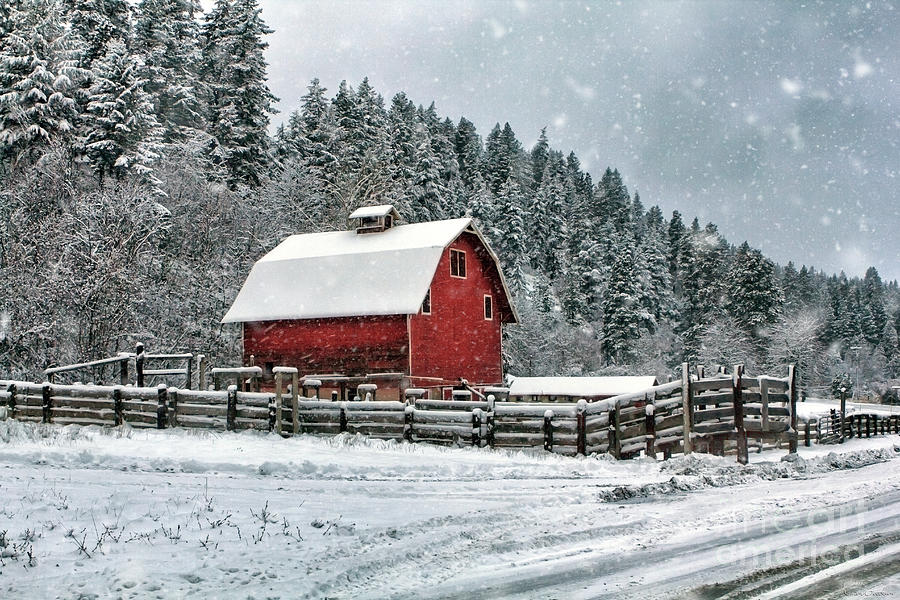 Winter Photograph - Red Barn by Karen Goodwin