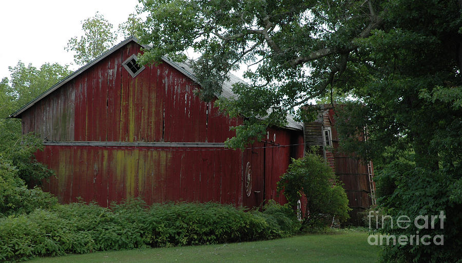 Red Barn Photograph by Kathy Carlson - Fine Art America