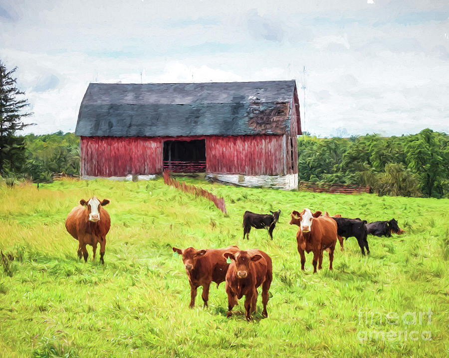 Red Barn Photograph by Lori Dobbs