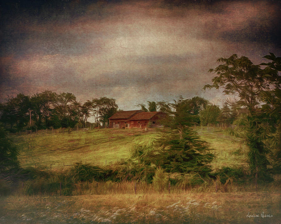 Red Barn Photograph by Louise Reeves