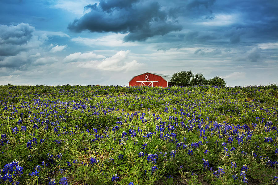 Red Barn Photograph By Mike Harlan Fine Art America 7009