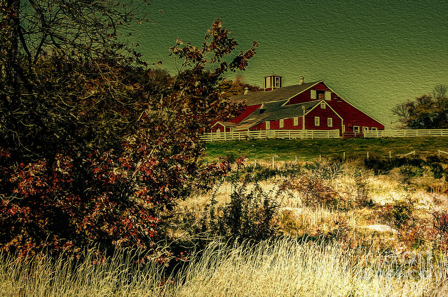 Red Barn Photograph by Mim White