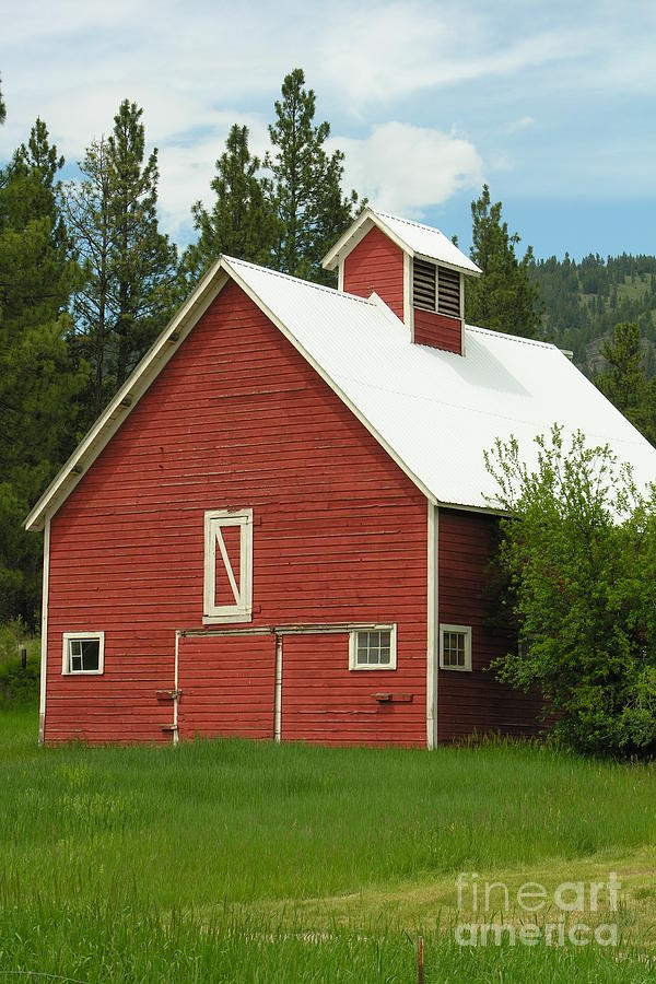 Red Barn Montana Photograph