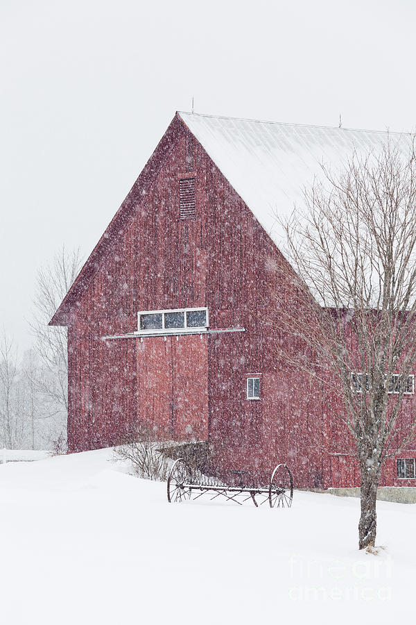 Red Barn Noreaster 2 Photograph by Alan L Graham