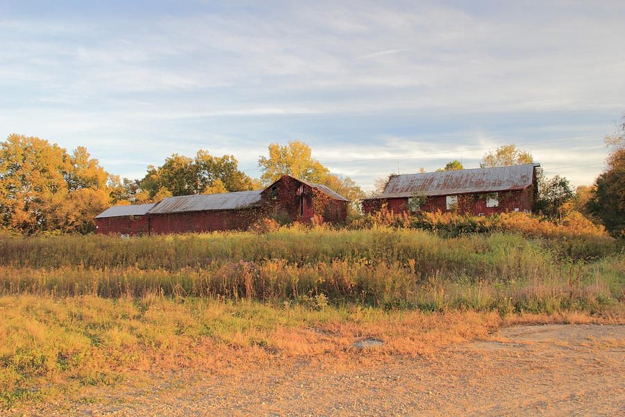 Red Barn on a Fall Day Photograph by Angela Murdock