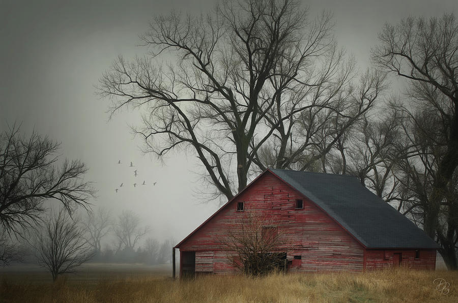 Red Barn on a Rainy Day Photograph by Debra Boucher