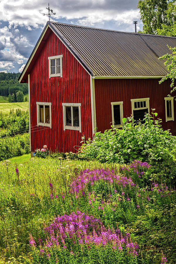 Red Barn on a Summer Day Photograph by Debra and Dave Vanderlaan