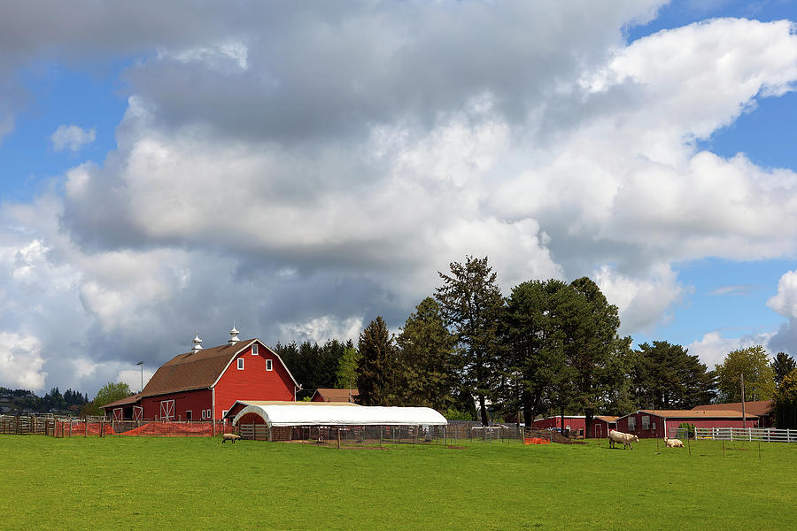 Red Barn on Green Pasture in Oregon Photograph by David Gn